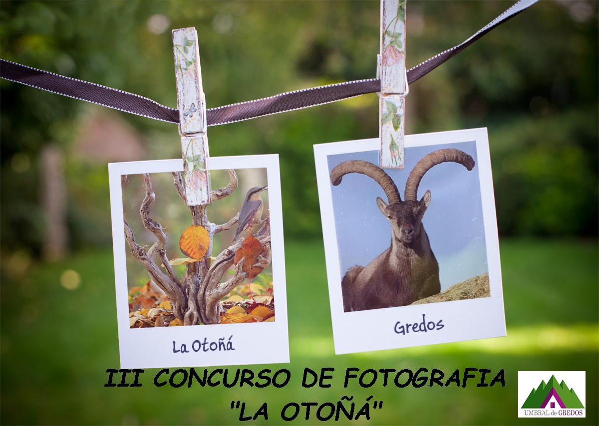 Pincha para acceder al Concurso de fotografia